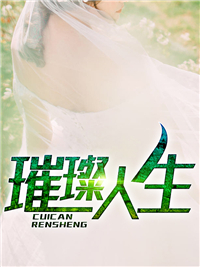 上门女婿叶辰萧初然免费阅读全集上辰