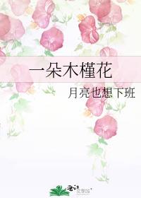 一朵木槿花