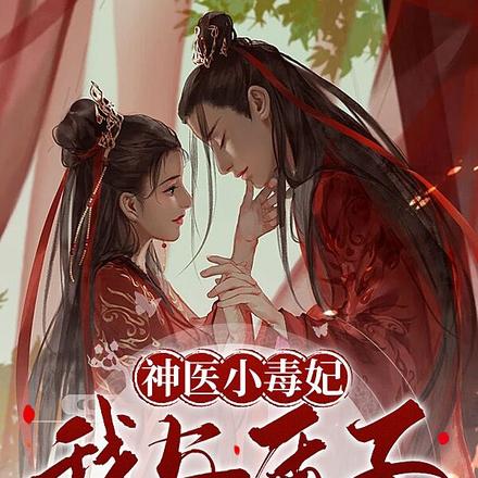 神医小毒妃,我与质子的爱恨情仇