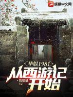 华娱1981:从西游记开始