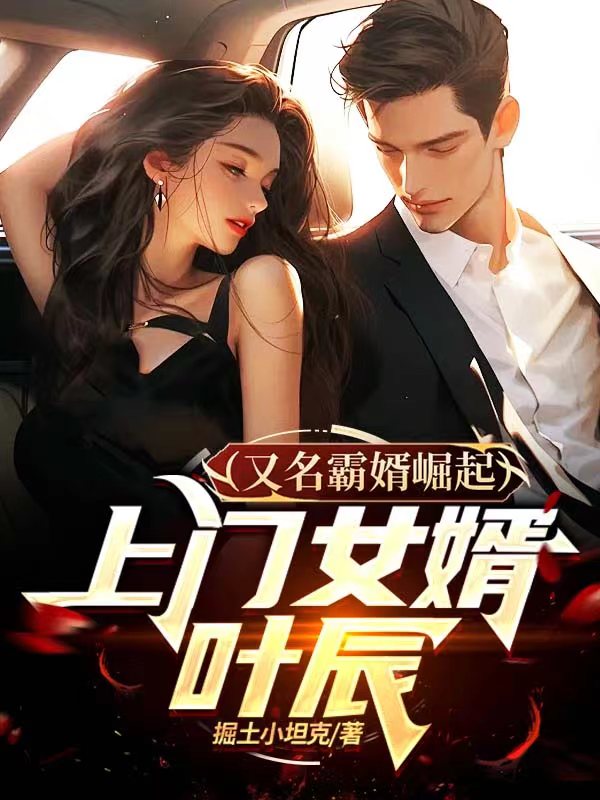 上门女婿叶辰(又名霸婿崛起)