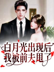白月光出现后,我被前夫甩了